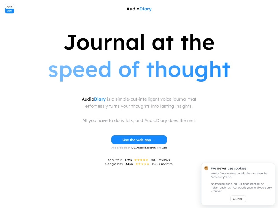 Audio Diary preview