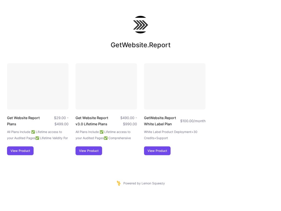 Getwebsite Report preview