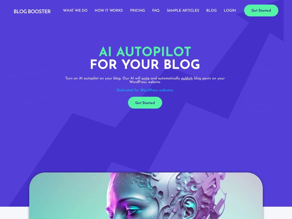 Blog Booster preview