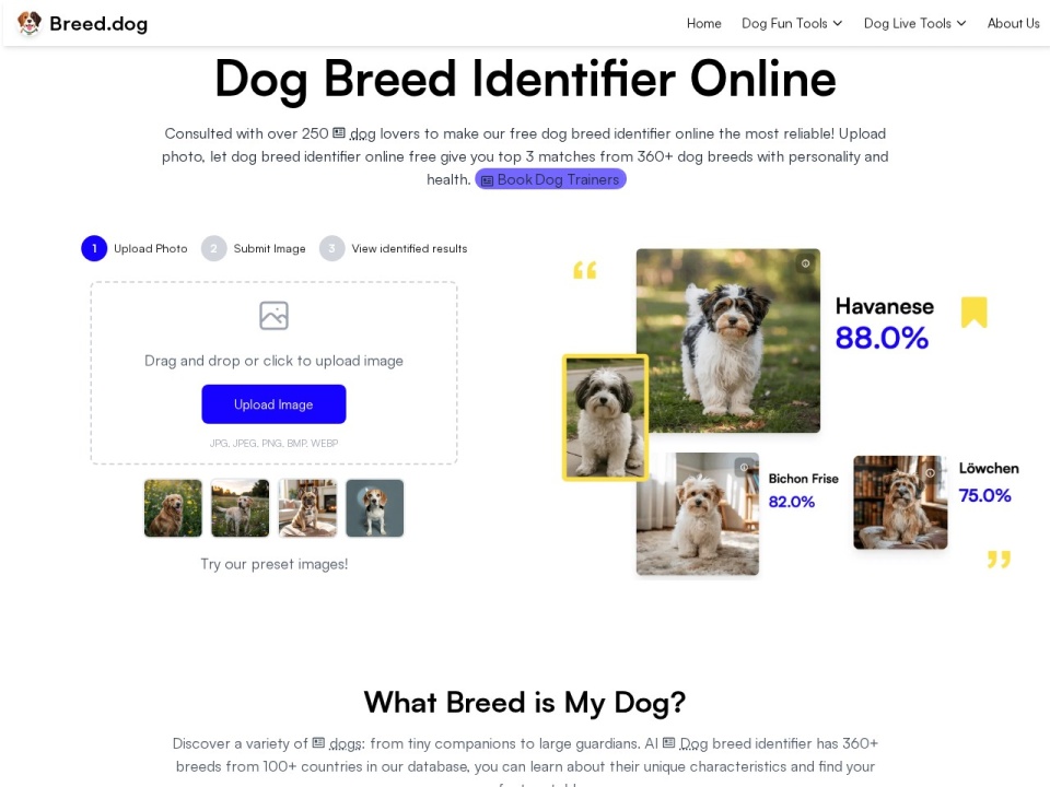 Breed Dog AI Dog Breed Identifier preview