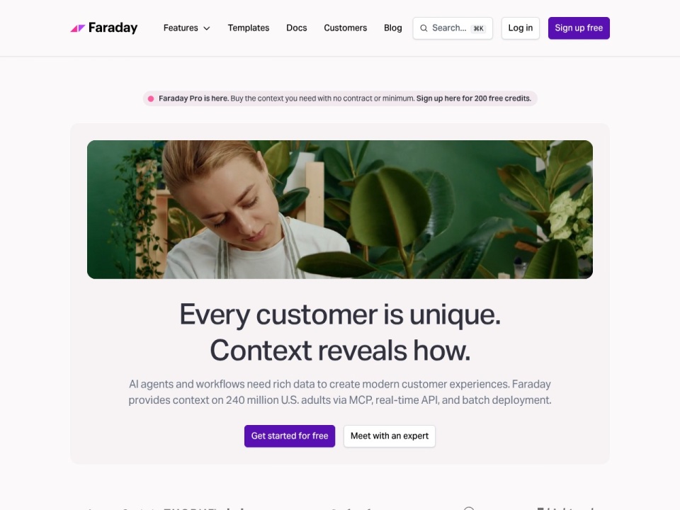 Faraday preview