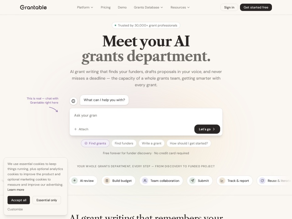 Grantable preview