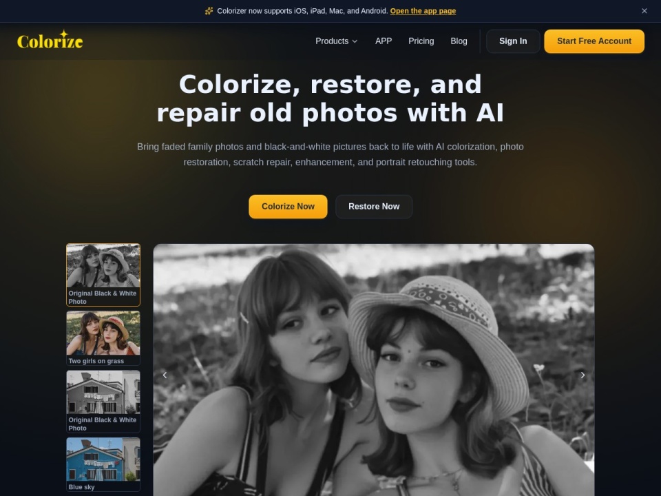 Imagecolorizer preview