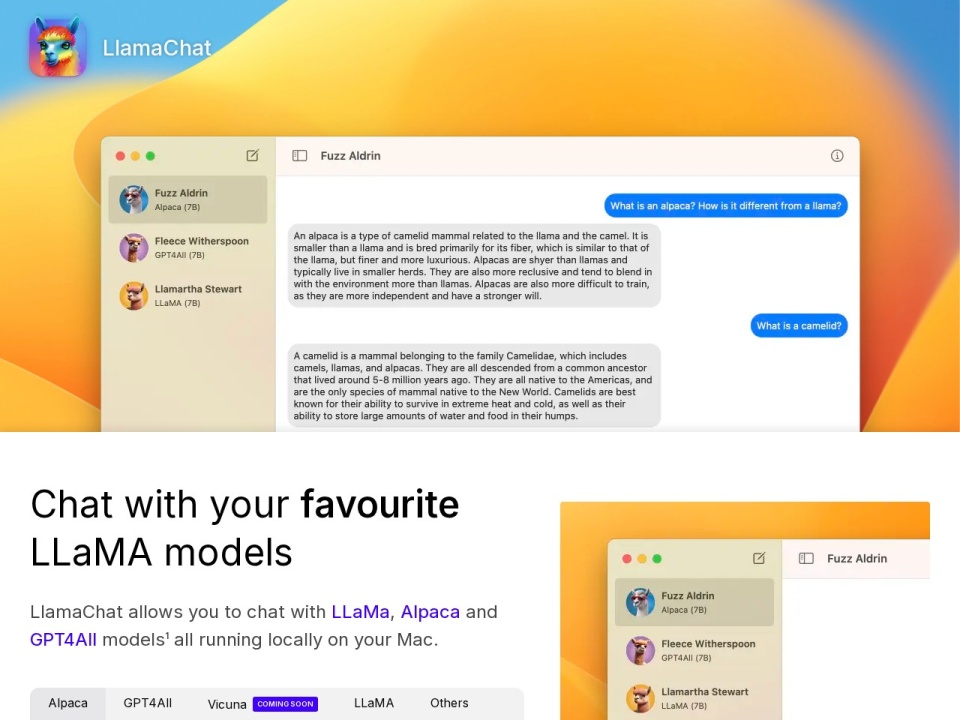 LlamaChat preview