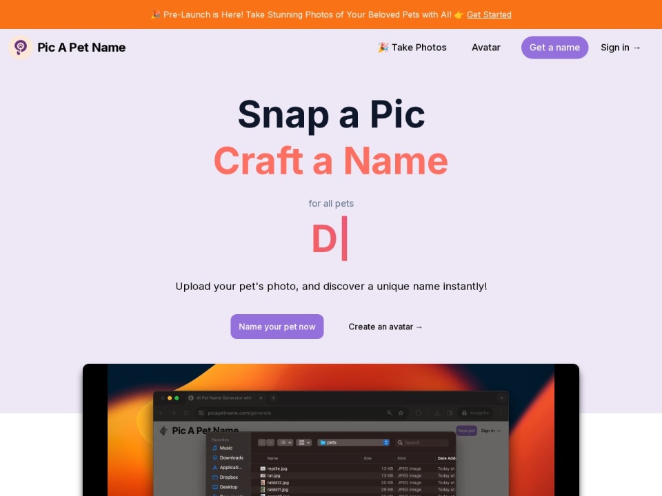 Pic A Pet Name preview