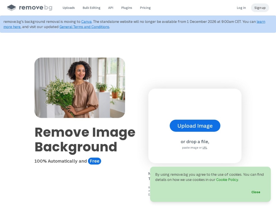 Remove-BG.AI preview