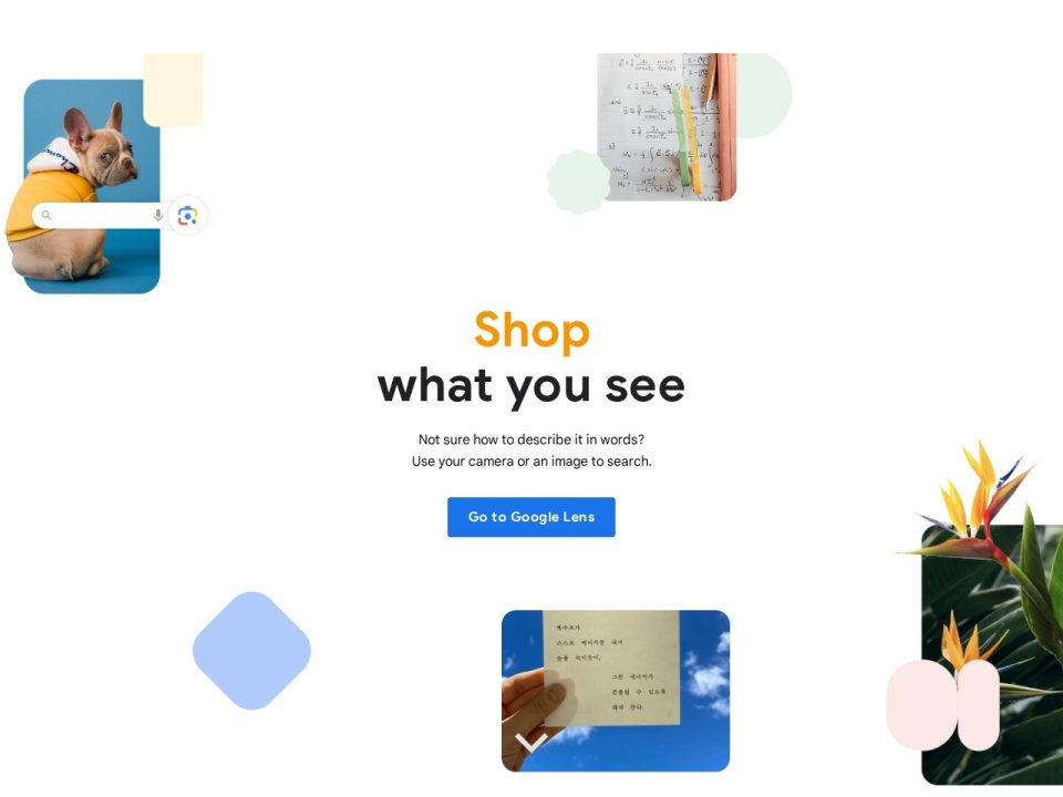 Socratic by Google preview