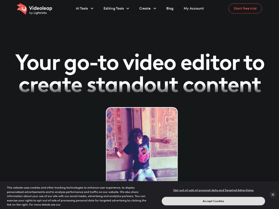 Videoleap preview