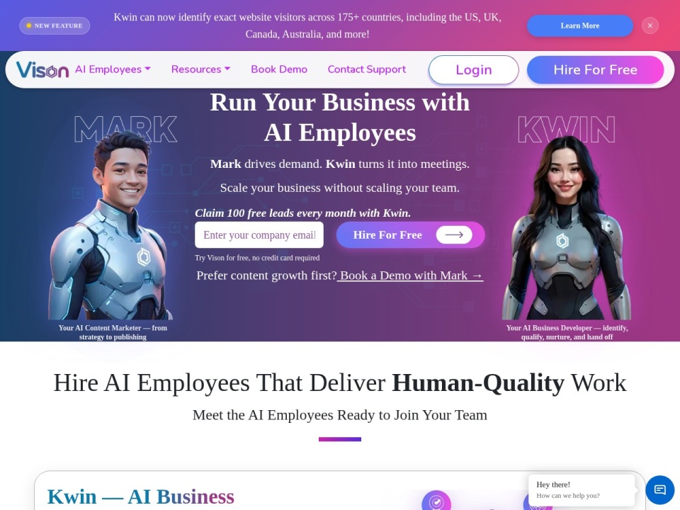 Vison AI preview