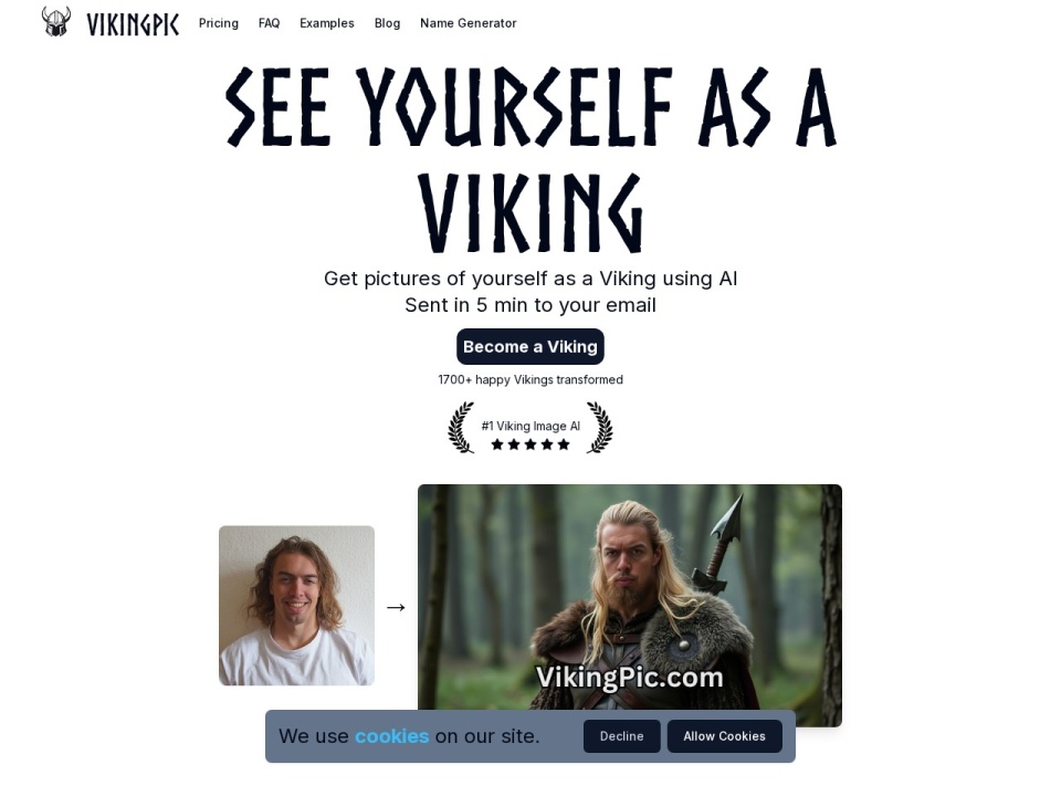 Vikingpic preview